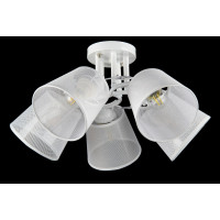 Люстры потолочные с пафоном Splendid-Ray 401020 (WT ) 