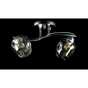 Люстра с плафонами  L8208/2A (BK+CR) Splendid-Ray
234518