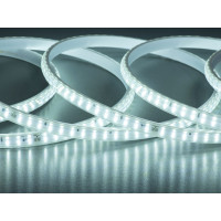 Світлодіодна стрічка 220в, 180шт/м, герметична, 12мм, холодний Diasha P220-2835-180-CW-65-12