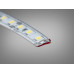 LED стрічка 12в, 120 шт/м, герметична, 8мм, холодний Diasha N12-2835-120-CW-65-8