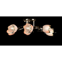 Люстра с плафонами Splendid-Ray 192029