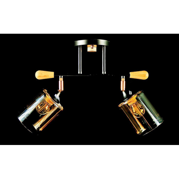 Люстра с плафонами L6025/2 (BLK+FG) Splendid-Ray
260751 Люстра с плафонами L6025/2 (BLK+FG) Splendid-Ray
260751