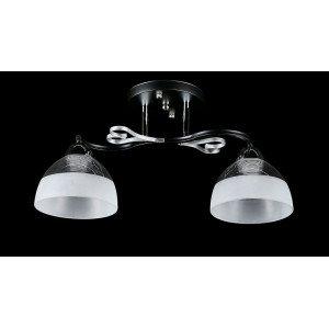 Люстра с плафонами  L8371/2A (BK+CR) Splendid-Ray
234474