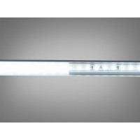 LED стрічка 220в, 120 шт/м, герметична, 8мм, холодний Diasha N220-2835-120-CW-65-8