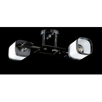 Люстра с плафонами  L91164/2 (CR) Splendid-Ray
260863