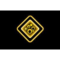 Светодиодный светильник настенно-потолочный 20х20 см Linisoln 1002 Светодиодный светильник настенно-потолочный 20х20 см Linisoln 1002