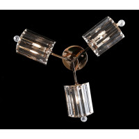 Люстра с плафонами Splendid-Ray 260238(FGD)