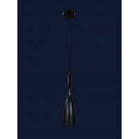 Люстры светильники подвесные декоративные Levistella  910RY635 BK