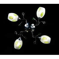 Люстра с плафонами Splendid-Ray 18814691(MIX(FGD1+CR1))