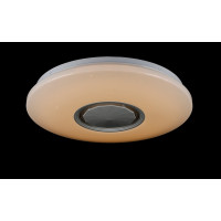 Светодиодная люстра Splendid-Ray 1999540/24W*2 LED+BLUETOOTH (WT)