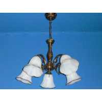 Люстра с плафонами  L89095/5 Splendid-Ray
211079