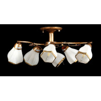 Люстры потолочные с пафоном Splendid-Ray 211094 (GB+GWT) 