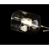 Люстра в спальню потолочная с плафонами Splendid-Ray 286142 (BRASS+BK)