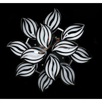 Светодиодная люстра в зал Splendid-Ray 2850108 (CHROME)