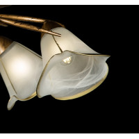 Люстра с плафонами Splendid-Ray 211096(GB+WT)