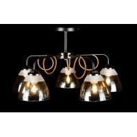 Люстра с плафонами Splendid-Ray 286125(BK+FG)