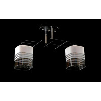 Люстра с плафонами  L6910B/2 (BLK+CR) Splendid-Ray
260794