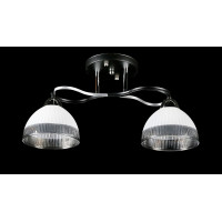 Люстра с плафонами  L8258/2 (BK+CR) Splendid-Ray
234492