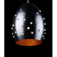 Подвесная люстра  L4595/1 (BK) Splendid-Ray
234904