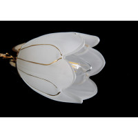 Люстры потолочные с пафоном Splendid-Ray 882321