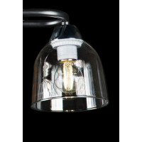 Люстра с плафонами  LGH50316/2 (BK+CR) Splendid-Ray
286130