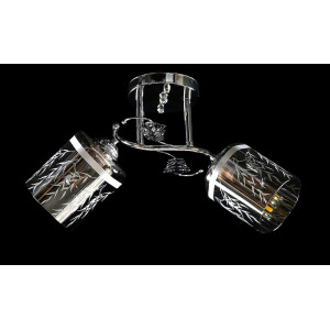 Люстра с плафонами  L6982B/2 (CR) Splendid-Ray
260818