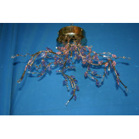 Галогеновая люстра L1156/6+1 Splendid-Ray
112969