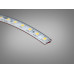 LED стрічка 24в, 120 шт/м, герметична, 8мм, нейтральний Diasha N24-2835-120-NW-65-8