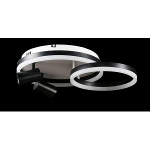 Светодиодная люстра L2464/550/2+2 LED (WHITE+BLACK) Splendid-Ray
1002571