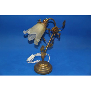 Настольная лампа с плафоном N1221/1 (BG) Splendid-Ray
15035