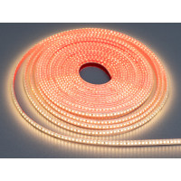 LED стрічка 24в, 180 шт/м, герметична, 8мм, теплий Diasha N24-2835-180-WW-65-8