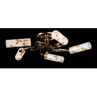 Люстра с плафонами  L82404/5 (FGD) Splendid-Ray
882312
