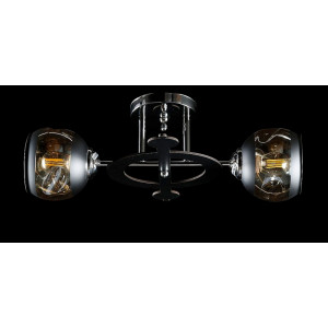 Люстра с плафонами  L91163/2 (CR) Splendid-Ray
260860