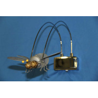 Галогеновое бра BWLD40/1 (WT) (Муха) Splendid-Ray
85974