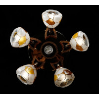 Люстра с плафонами Splendid-Ray L13197(FGD+BR)