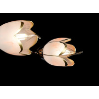 Люстра с плафонами Splendid-Ray 192027