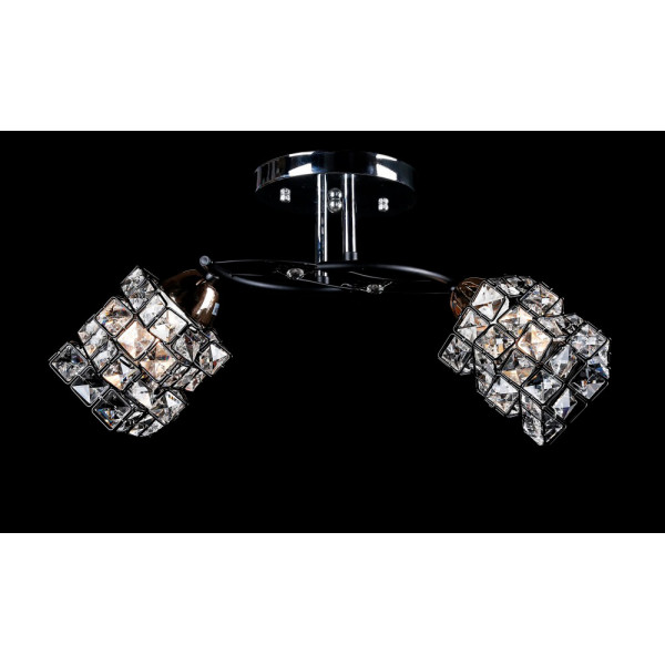 Люстра с плафонами  L67164/2 (CR+BK) Splendid-Ray
234353