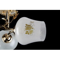 Люстры потолочные с пафоном Splendid-Ray 401046 (FGD)