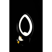 Светодиодная бра BK232/1 LED (CHROME) Splendid-Ray
2850200