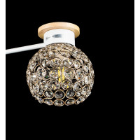 Люстра с плафонами Splendid-Ray 260590(WHI+FG)
