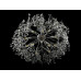 Хрустальная люстра L02/D800/12 (CH) Splendid-Ray
308016