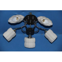 Люстра с плафонами  L15005/5 (CR+WENGE) Splendid-Ray
211262