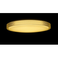 Люстра в зал или спальню светодиодная современная Splendid-Ray 1999525/65W*2 LED (WT) 