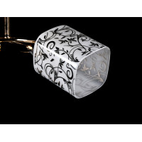 Люстра с плафонами Splendid-Ray 260983(FGD)