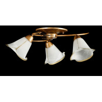 Люстры потолочные с пафоном Splendid-Ray 211095 (GB+WT)