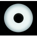 Светодиодная люстра LY8339/36W*2 LED+BLUETOOTH (WT) Splendid-Ray
1999539