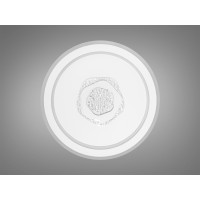 Люстра потолочная круглая Diasha A020/500