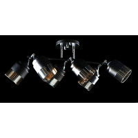 Люстра с плафонами  L91134/6 (BLK+CR) Splendid-Ray
260849