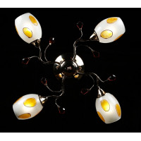 Люстра с плафонами Splendid-Ray 18814691(MIX(FGD1+CR1))