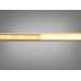 LED стрічка 12в, 120 шт/м, герметична, 8мм, теплий Diasha N12-2835-120-WW-68-8